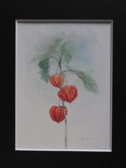 藤井勉、ほおずき、希少な画集より、新品高級額、額装付、状態良好