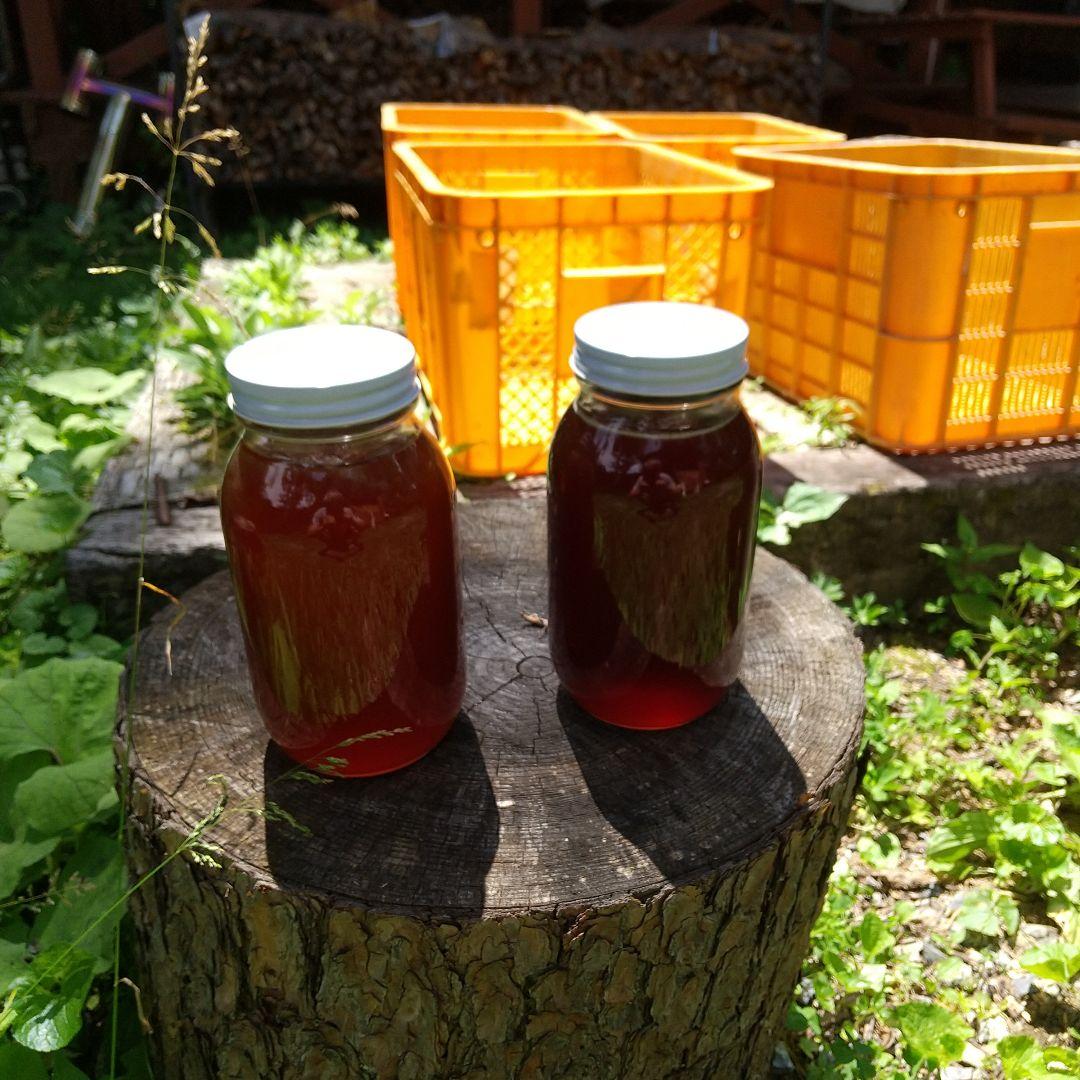 ジュエリー 日本蜜蜂天然 ハチミツ 1160g 八ヶ岳西麓1250m