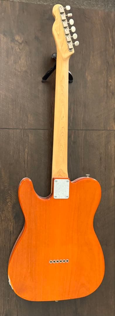 ギター psychederhythm hollow t-line