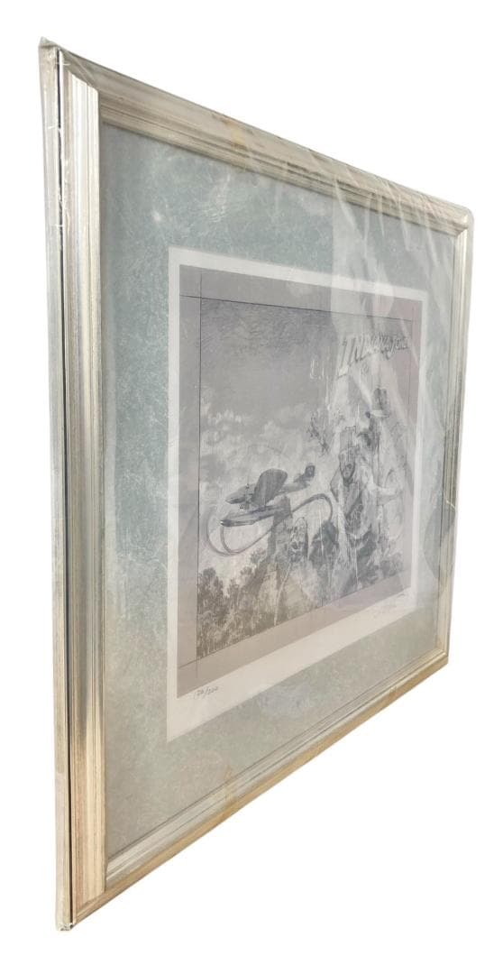 ★正規品・証明書付★ ドゥルー・ストゥルーザン インディジョーンズ