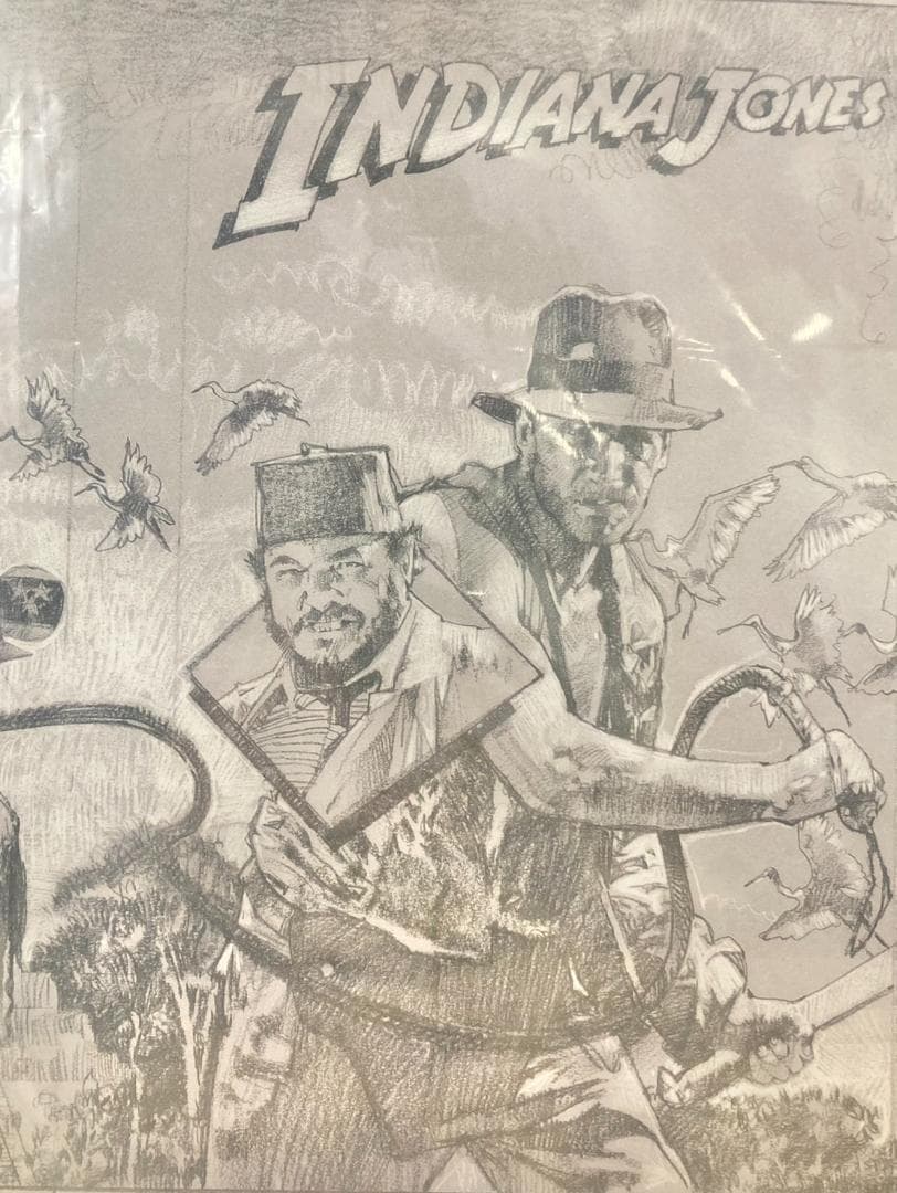 ★正規品・証明書付★ ドゥルー・ストゥルーザン インディジョーンズ