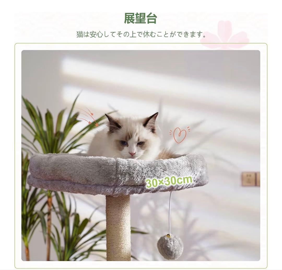 猫遊び　キャットタワー
