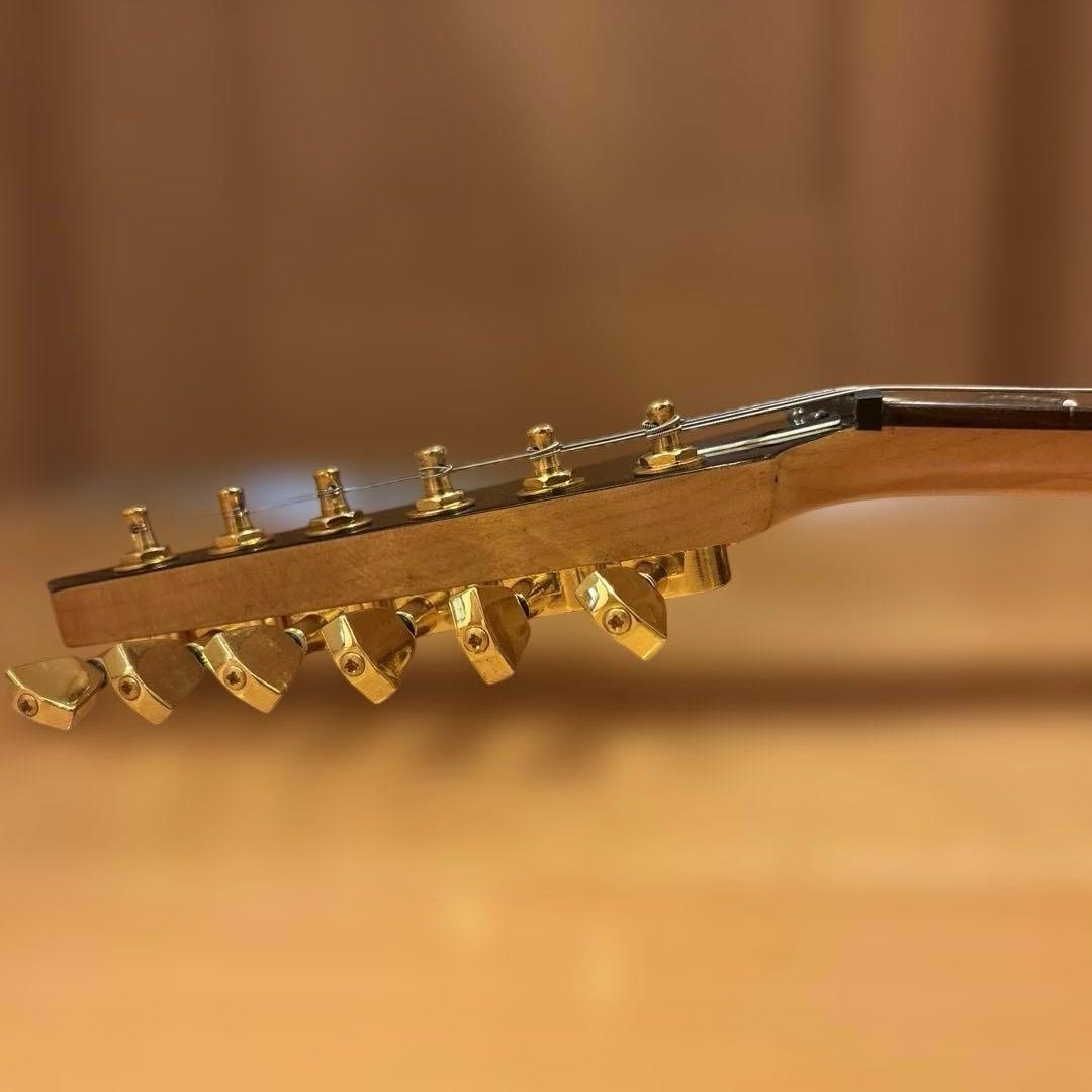 日本製 FERNANDES FGZ トレモロアーム・ストラップ付 新品弦張替済