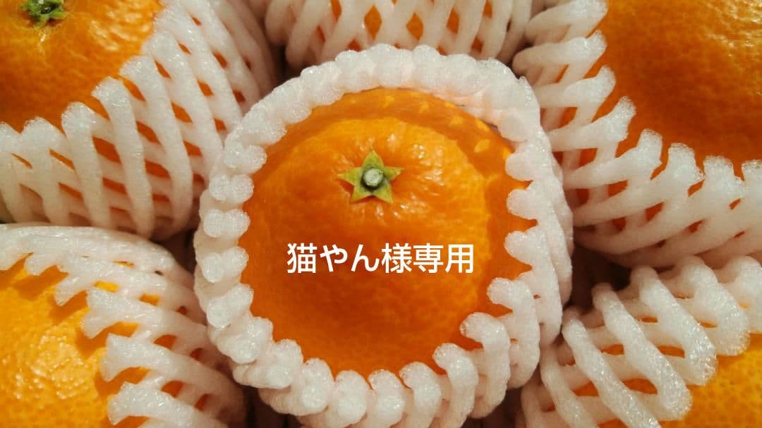 猫やん　まどんな 3L 11玉×6箱