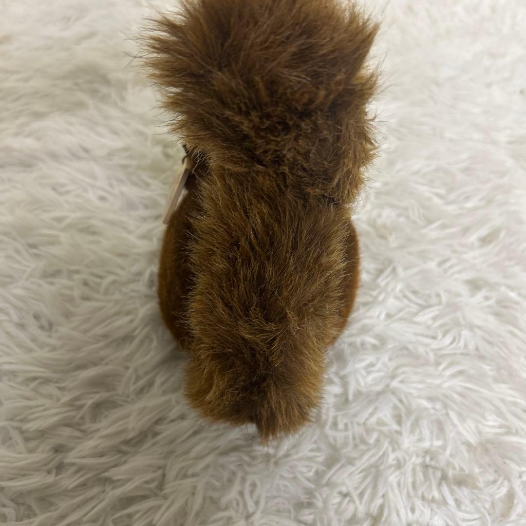 【極美品】タグ付き　KOSEN ケーセン りす ２３㎝　参考定価23,650円