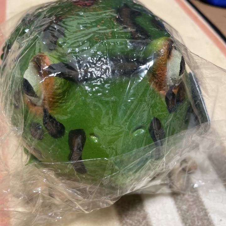 ベルツノガエル