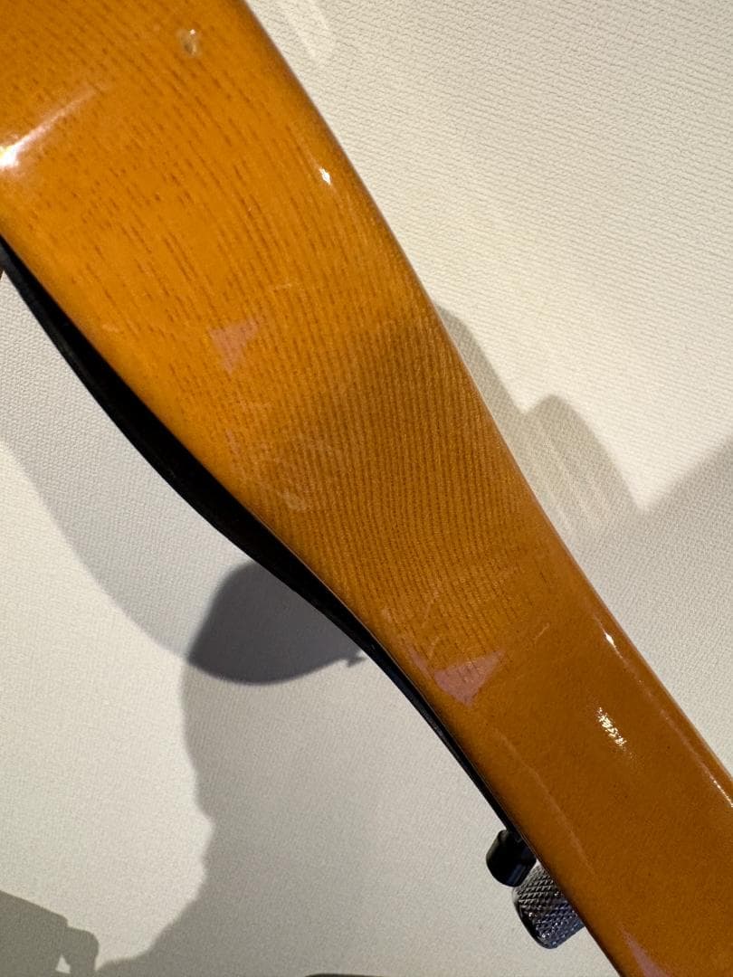 Bill Lawrence Trigger II テレキャスター