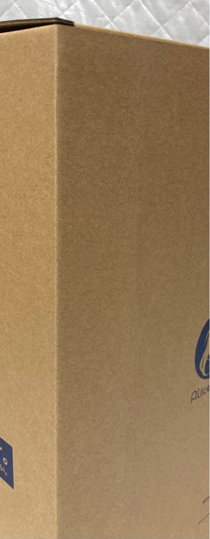 【あみあみ限定版】「リュー・リオン」レベル6Ver. 1/7　フィギュア