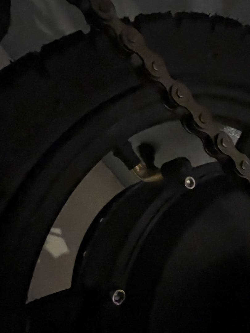 電動アシスト自転車 黒