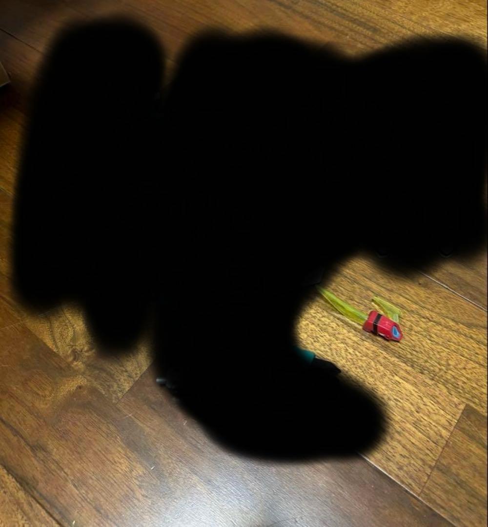 クリスブラッカー　ビーダマン