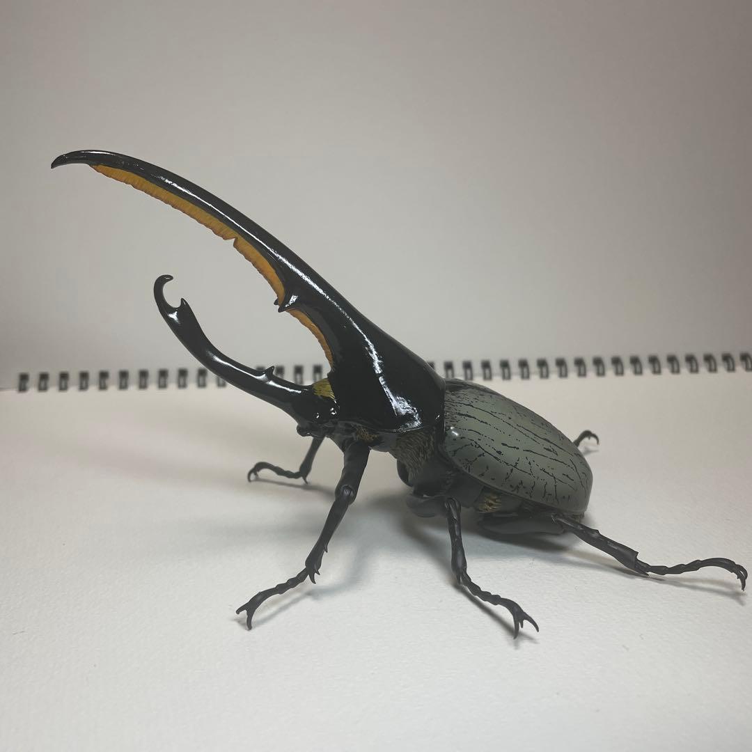 いきもの大図鑑　アドバンス　オンライン版　ヘラクレス　2種