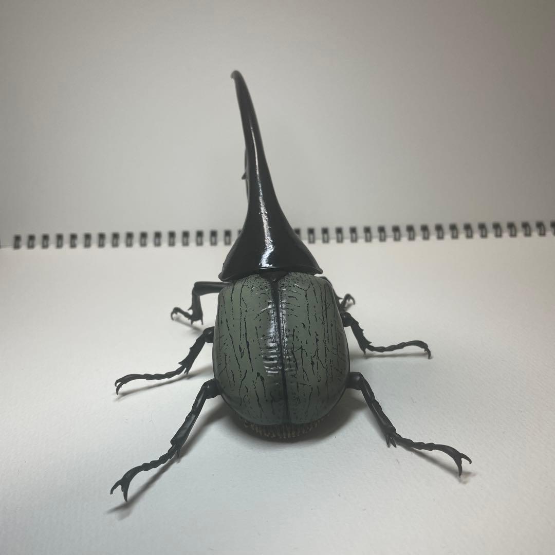 いきもの大図鑑　アドバンス　オンライン版　ヘラクレス　2種