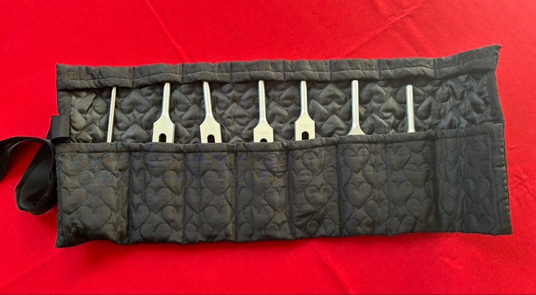 ✨新品✨ ソルフェジオチューナーセット 6本　ニチオン