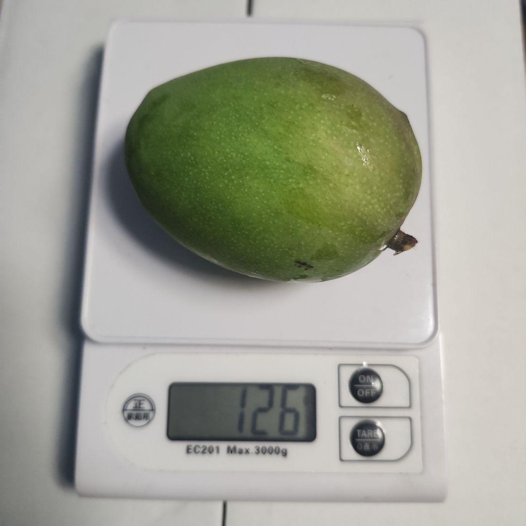 m*e様 沖縄県産 摘果マンゴー 青マンゴー 20kg 常温発送 オークションC