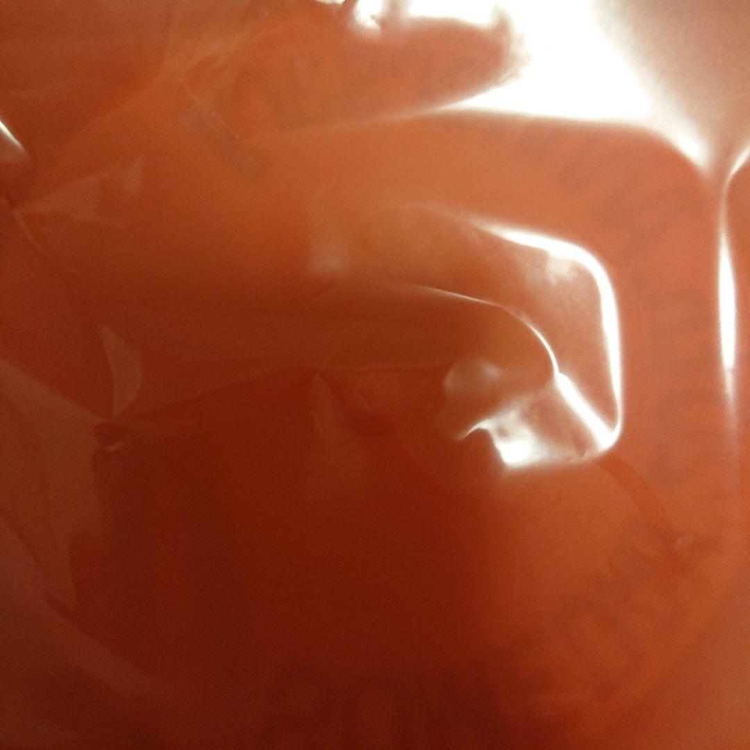 No Damage SOMEDAY 発売20周年公式フリスビー セット