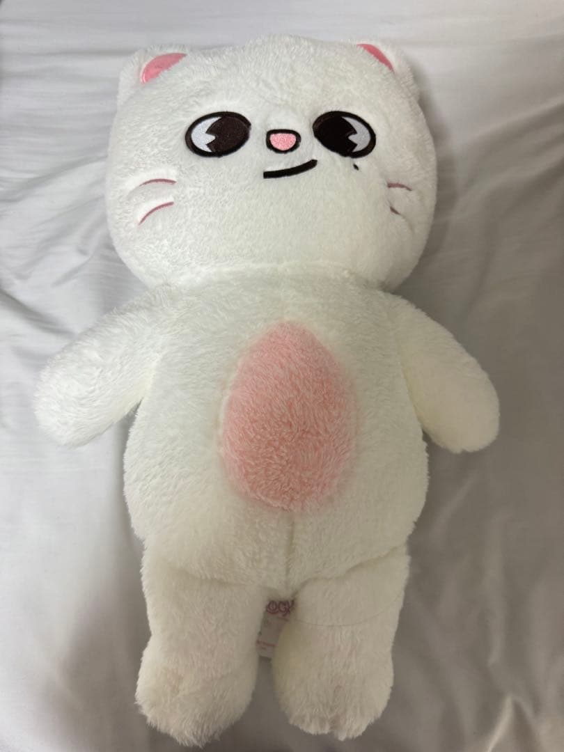 StrayKids テディ　ジニレット