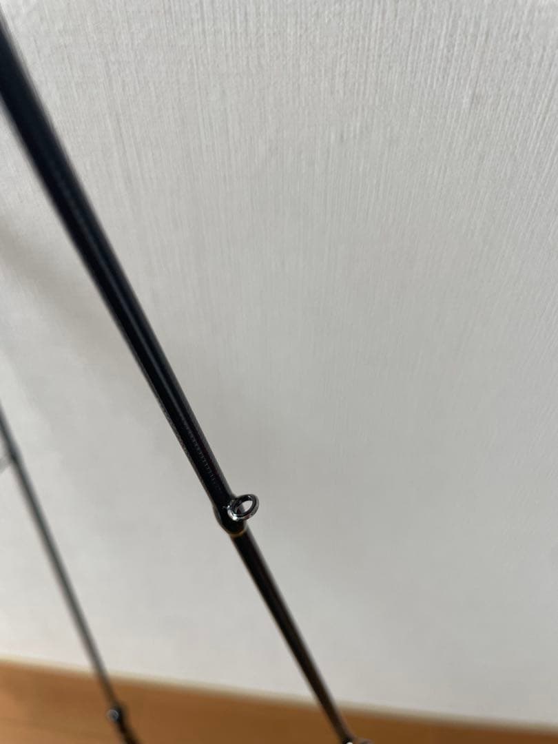 テイルウォーク エギングロッド EGIST (エギスト) TZ 77M/TISL