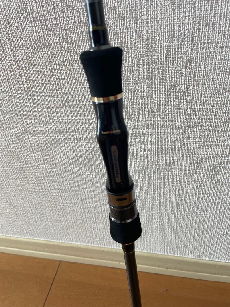 テイルウォーク エギングロッド EGIST (エギスト) TZ 77M/TISL