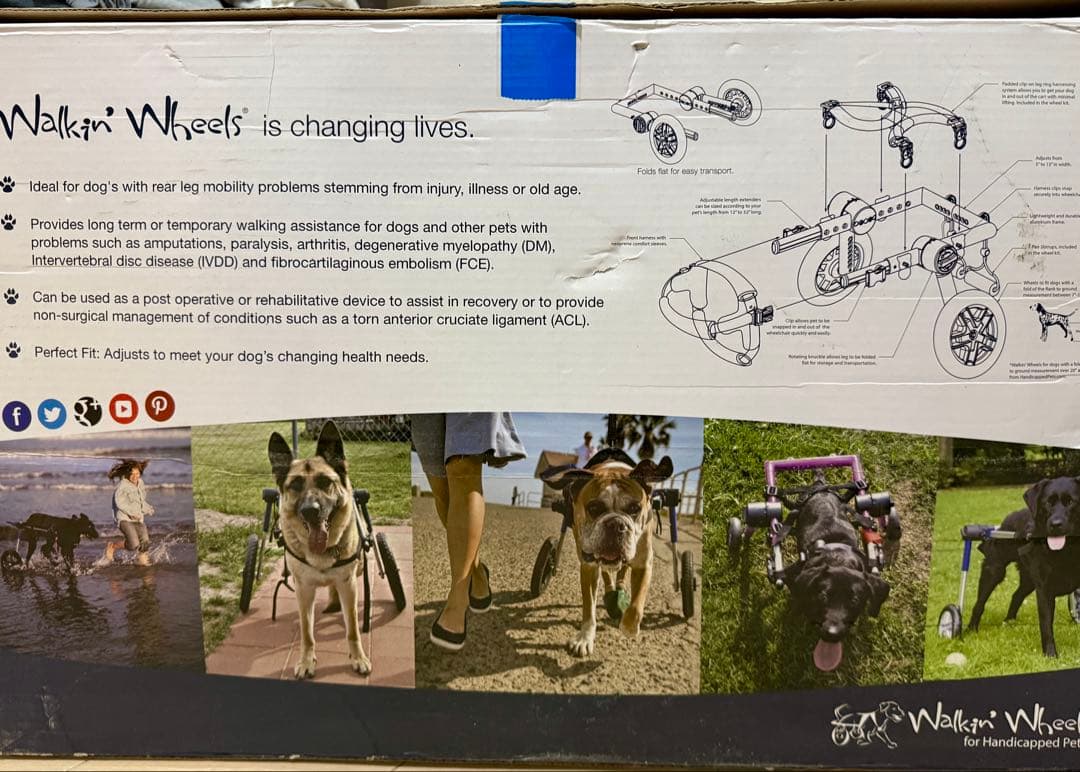 Walkin' Wheels ペット用車いす 中型　犬用歩行補助器