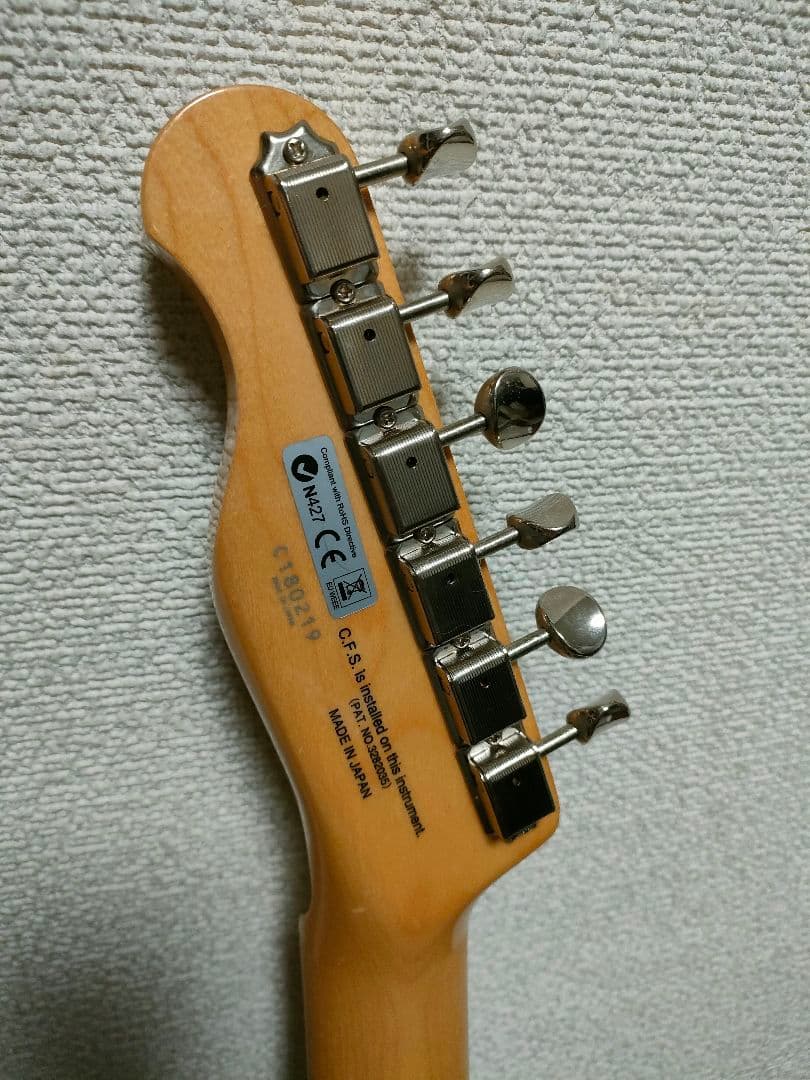 FGNフジゲン テレキャスターシンライン NTL 10M AHT - WB/01