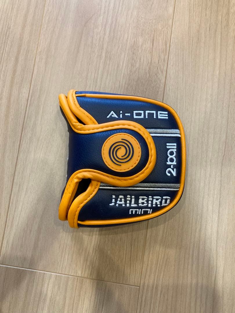 最終価格　使用僅か Ai-ONE ジェイルバードミニ　2ball