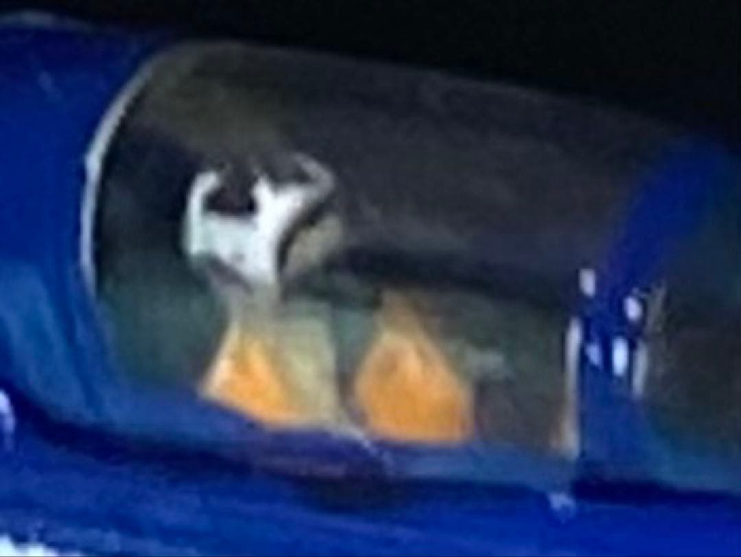 【ロビーページ】エリア88 F-20タイガーシャーク最終回仕様