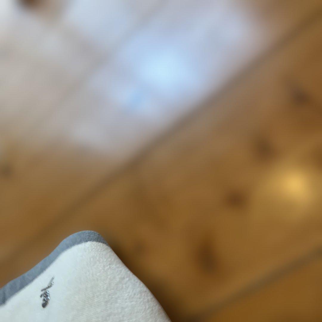 MARK & LONA アイボリー スカート 新品　定価38500円