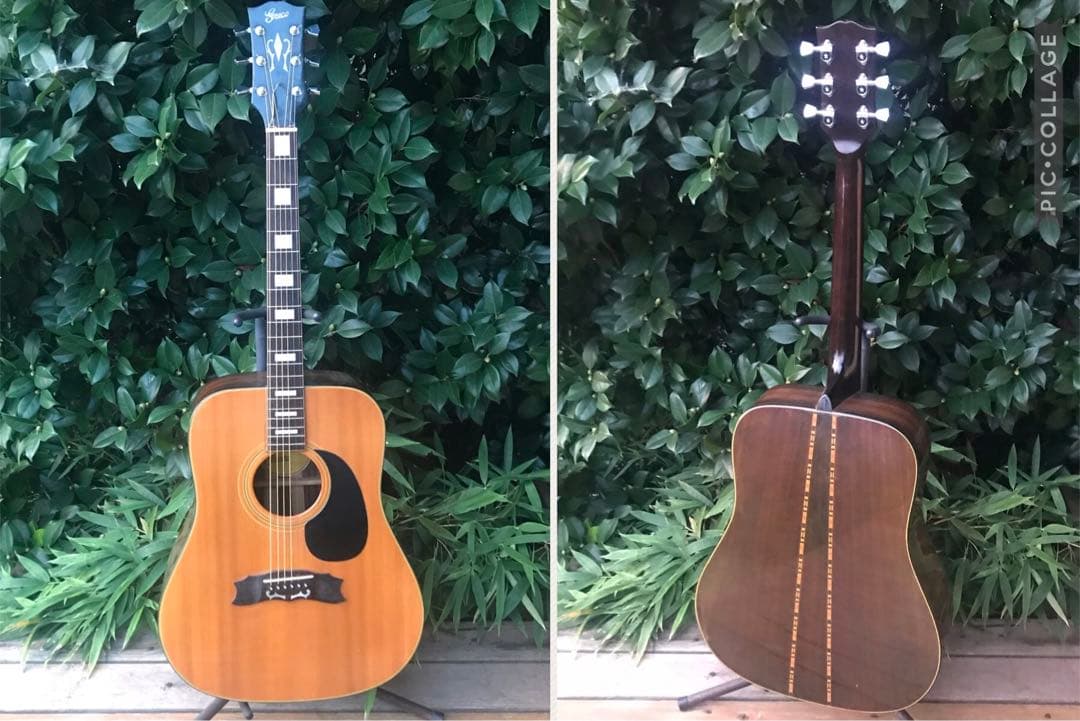 greco 401 ヘリテージ model フジゲン