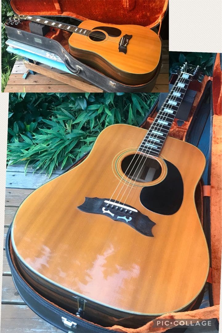 greco 401 ヘリテージ model フジゲン