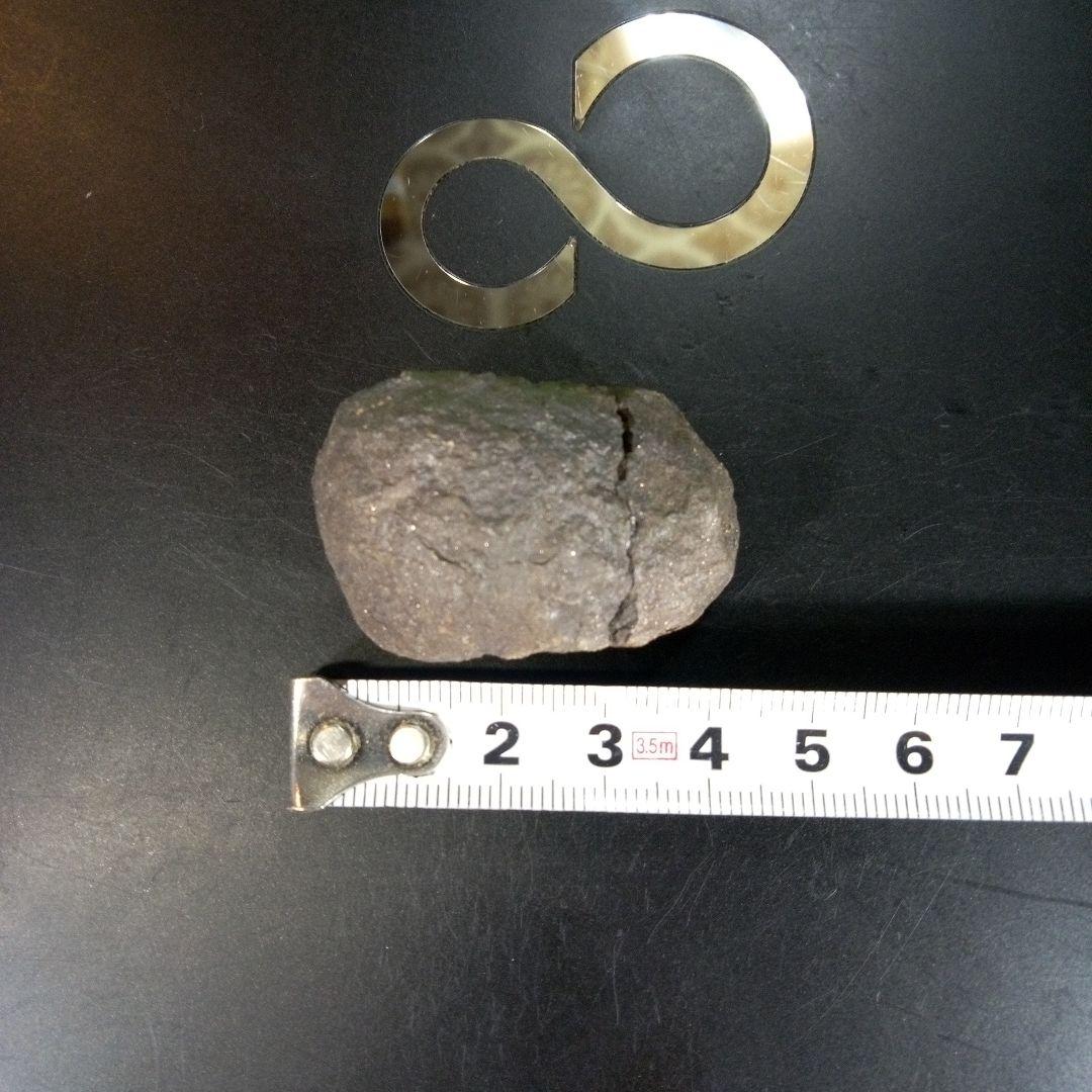 三葉虫　化石　ボリビア産　南アメリカ　trilobite　南米産fossil①