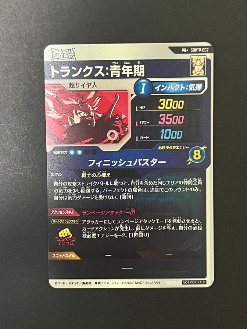 SDVTP-002 トランクス　パラレル　Ruichandayo