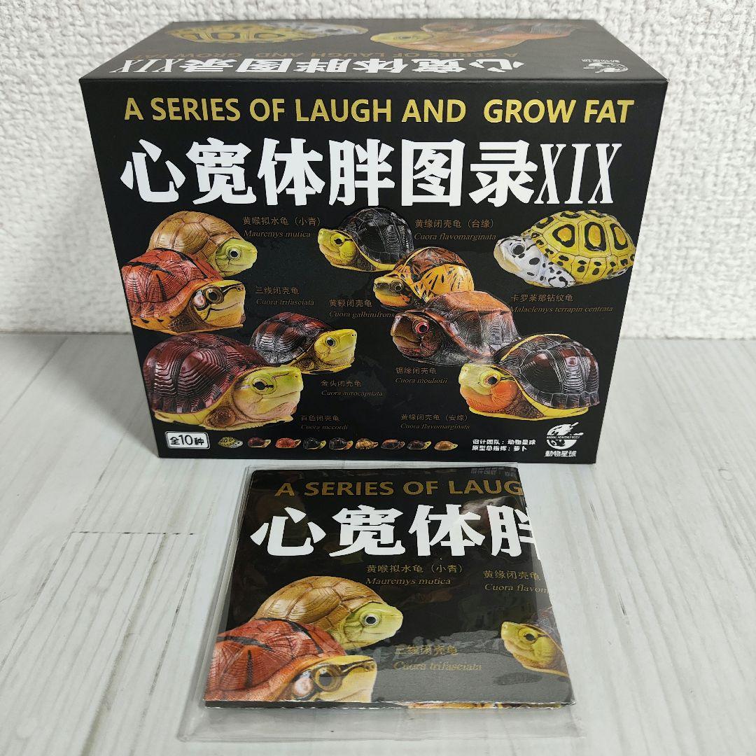 【動物の惑星】レア★スペングラーヤマガメ（シークレット）★フィギュア