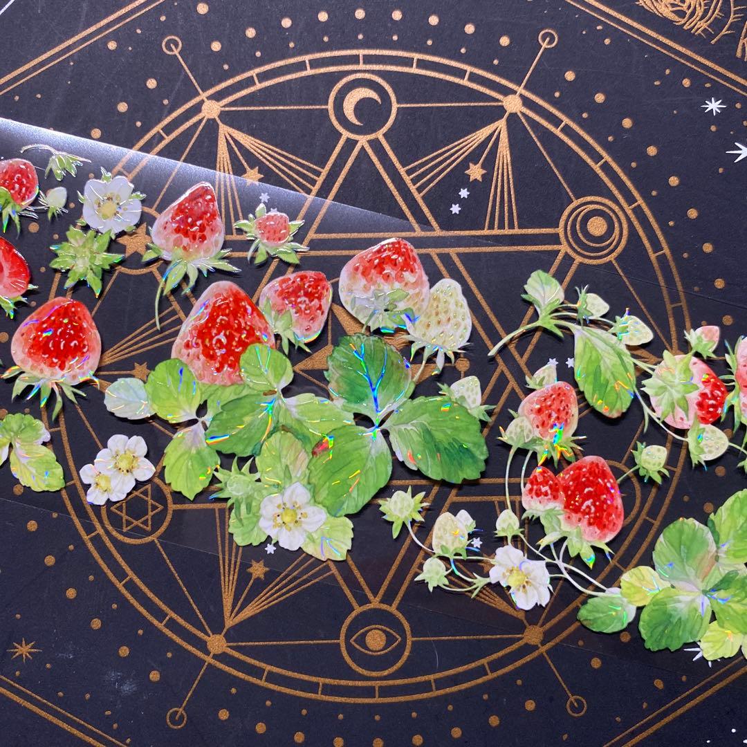 【9243】海外　マステ　中古巻　貝殻光マスキングテープ　苺　果物　お花　装飾系