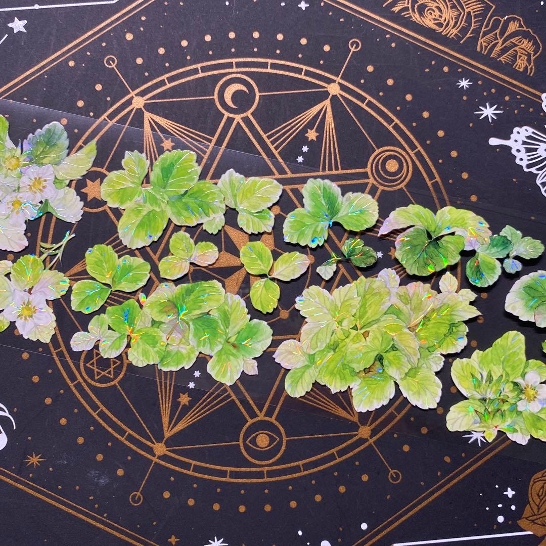 【9243】海外　マステ　中古巻　貝殻光マスキングテープ　苺　果物　お花　装飾系