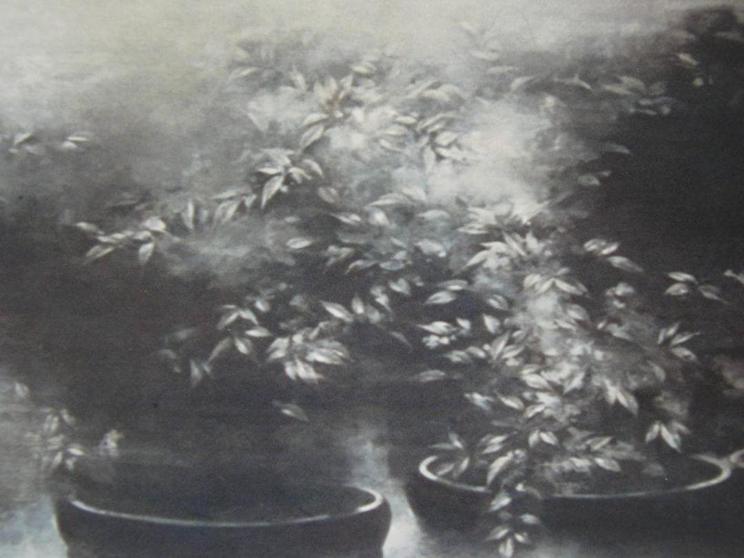 松尾京子、【月の降る】、希少な画集より、状態良好、新品高級額装付