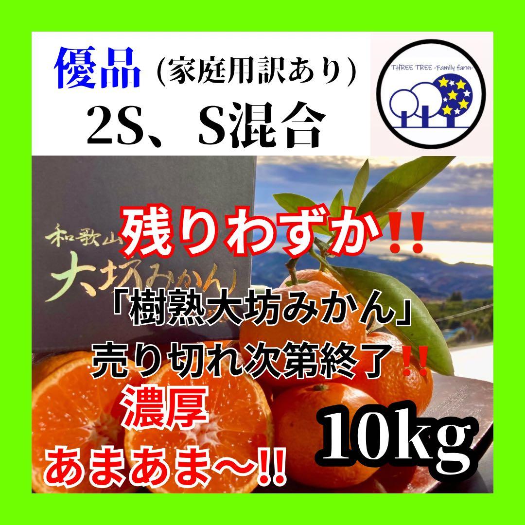 ②温州みかん 樹熟大坊みかん 優品(家庭用傷あり)2S、Sサイズ10kg