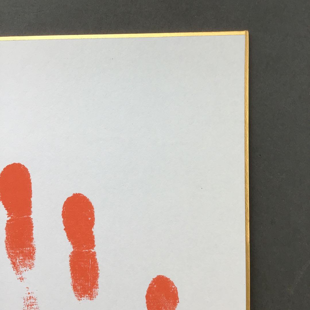 色紙　若乃花、貴乃花直筆揮毫手形　記念写真付　畳紙　配送用袋　S1040SS