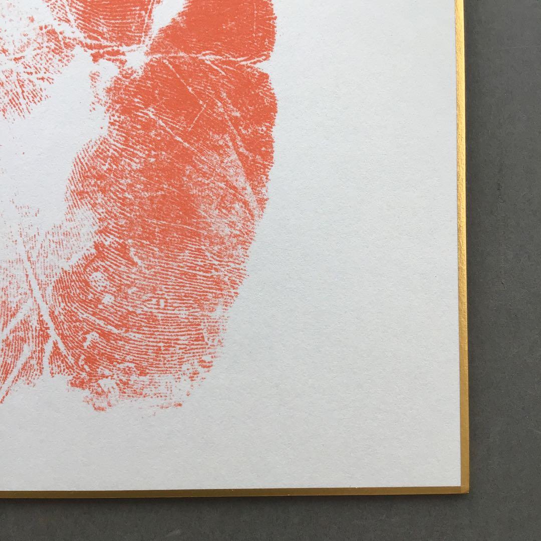 色紙　若乃花、貴乃花直筆揮毫手形　記念写真付　畳紙　配送用袋　S1040SS