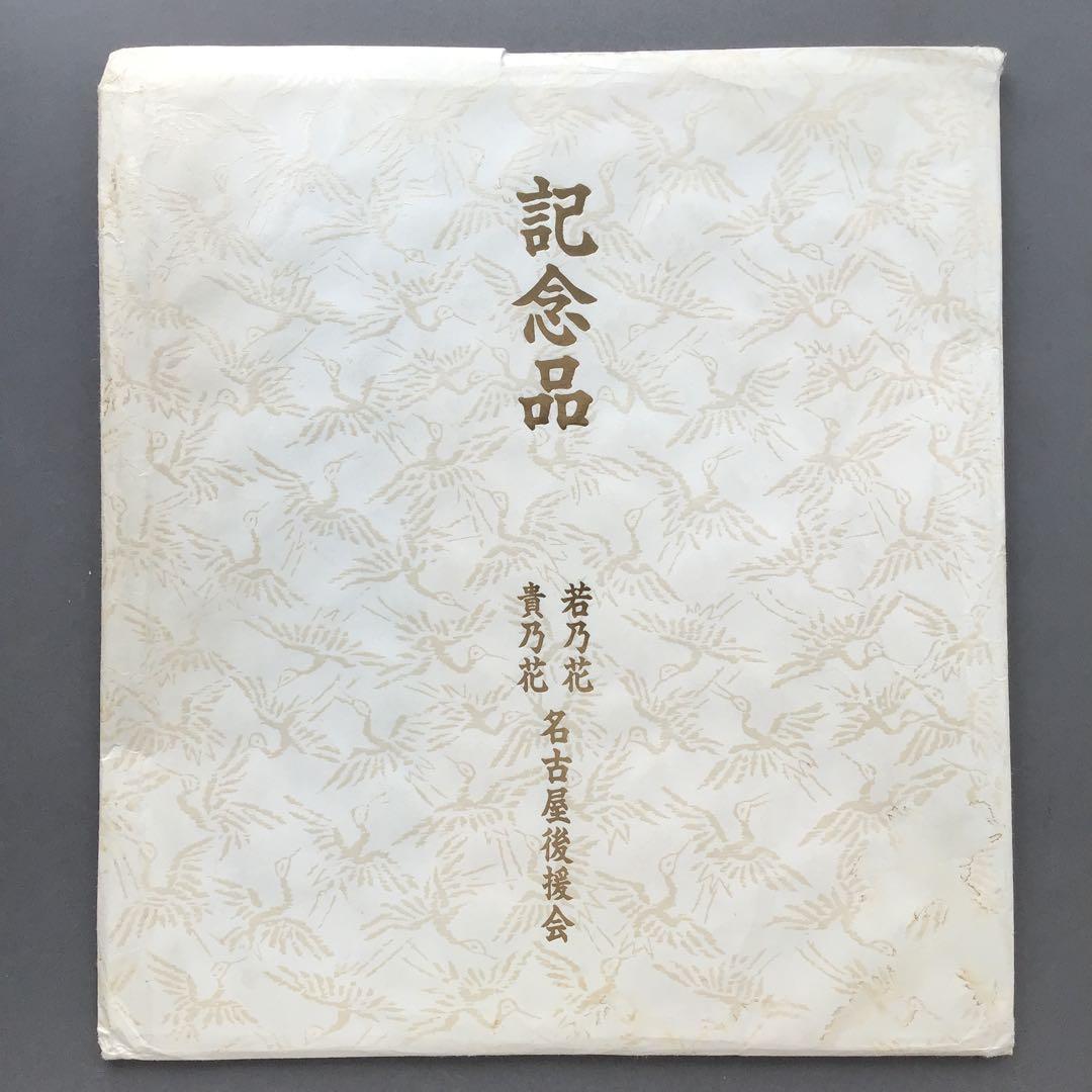 色紙　若乃花、貴乃花直筆揮毫手形　記念写真付　畳紙　配送用袋　S1040SS