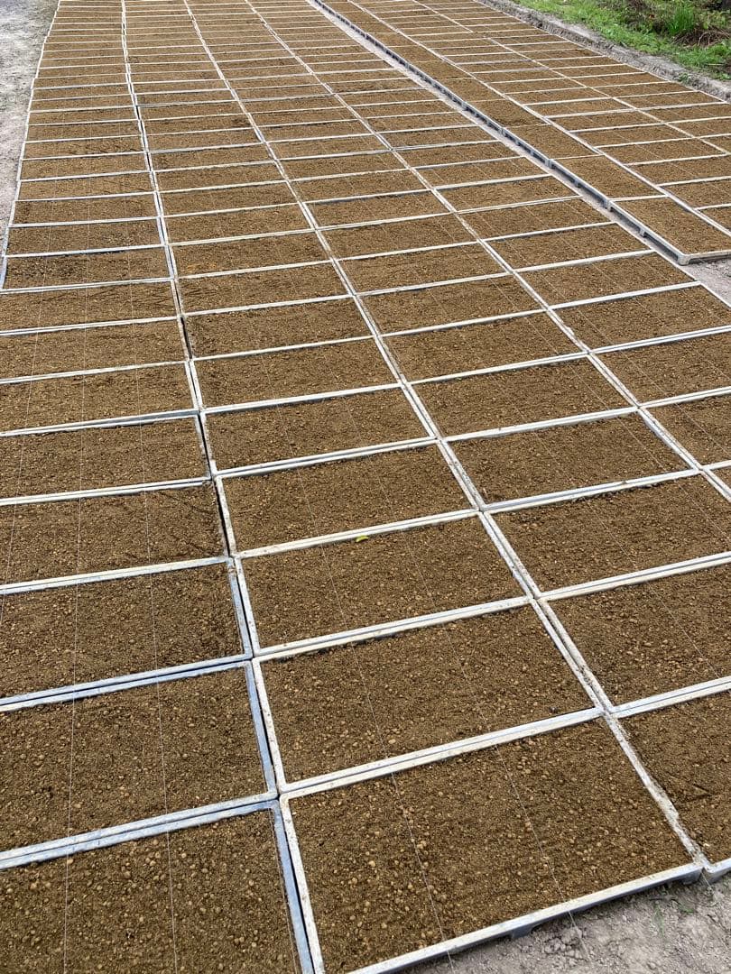 ❁⃘*.゜ニャンゴローさま専用❁⃘*.゜ 追加ご購入分