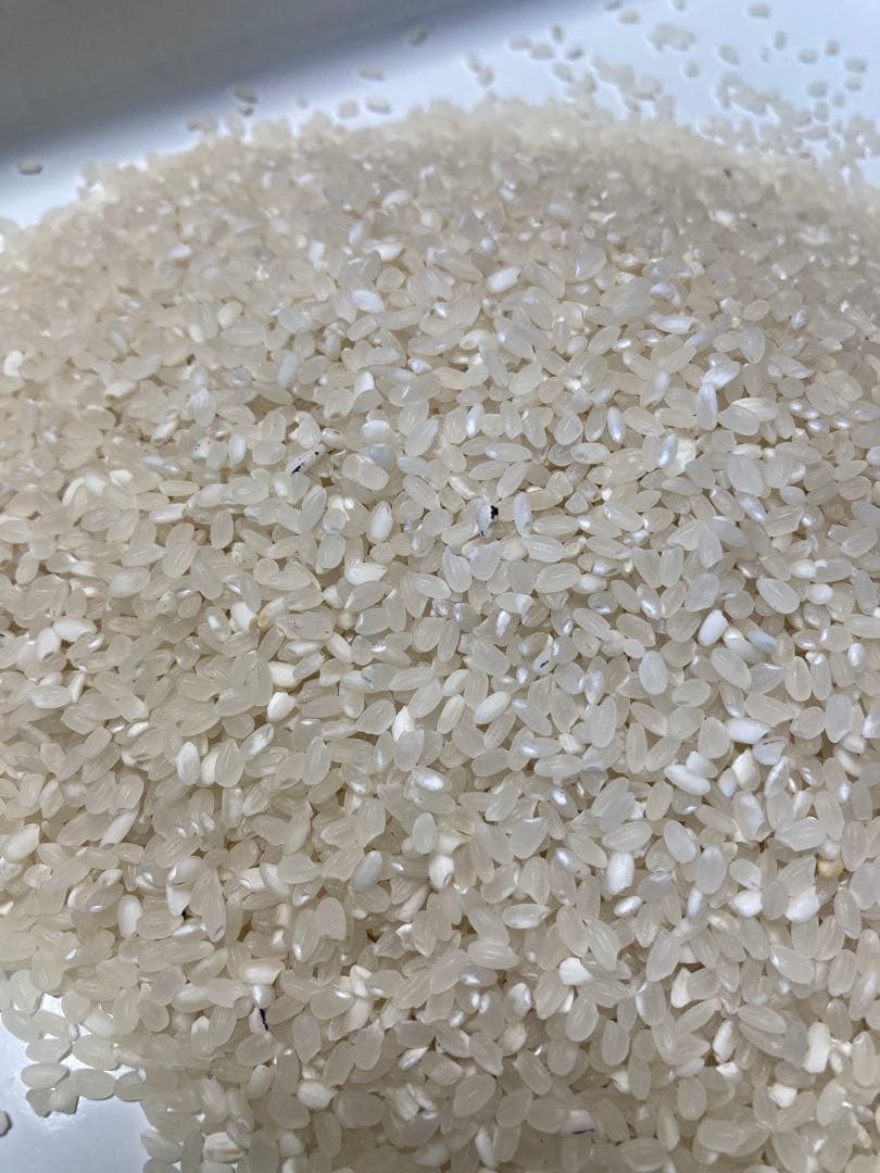 ❁⃘*.゜ニャンゴローさま専用❁⃘*.゜ 追加ご購入分