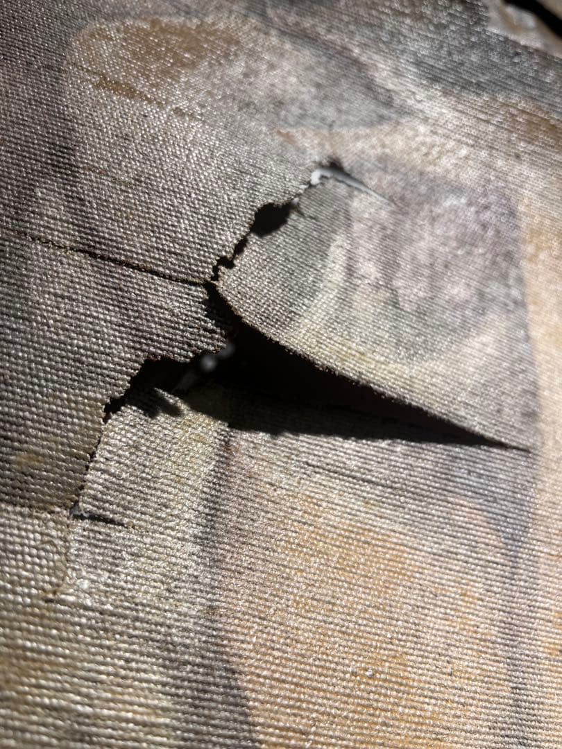 アンティーク絵画 女神 天使 年代不明 ヴィンテージ絵画