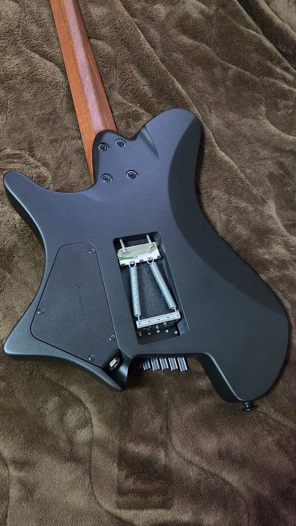 Strandberg salen pliniモデル ヘッドレスギター