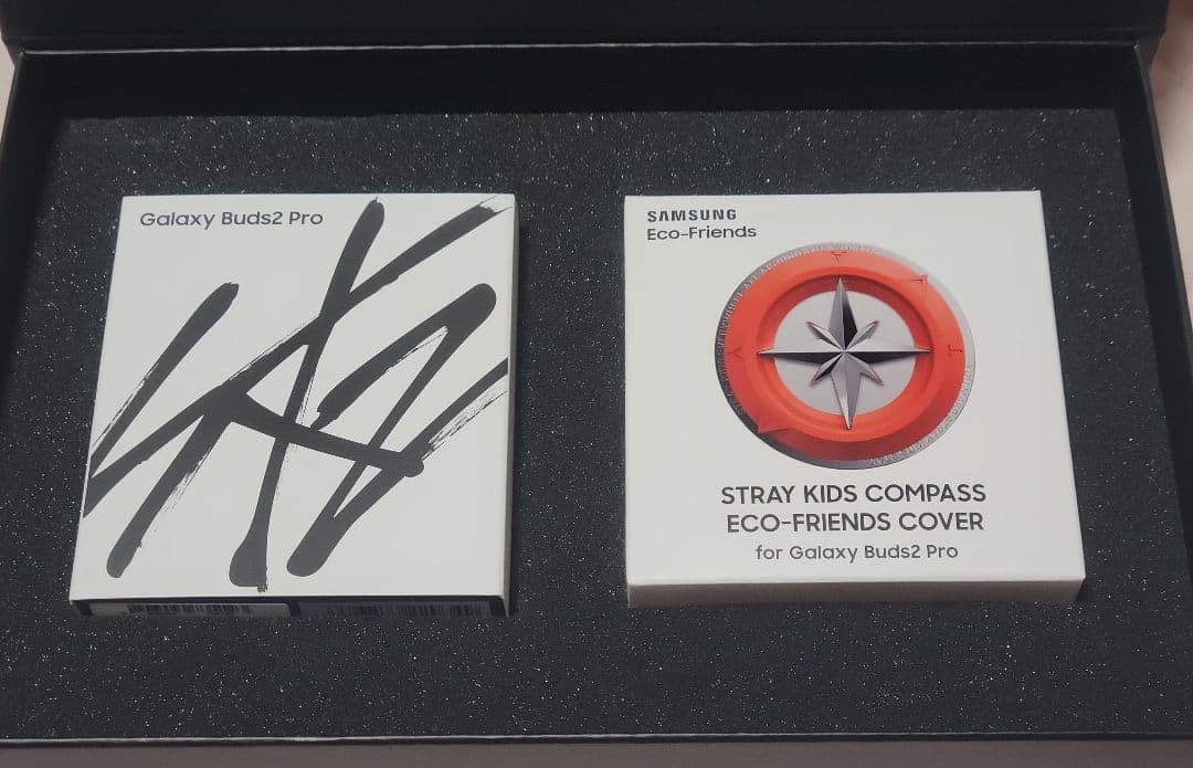 アイドル SLBS GALAXY Buds2 Pro Stray Kids Edition