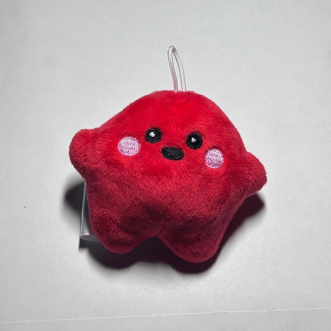 ドイツパビリオン　サーキュラー大小セット