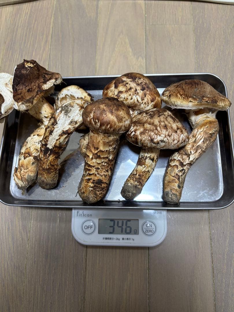 岩手県産マツタケ346g 裂けあり
