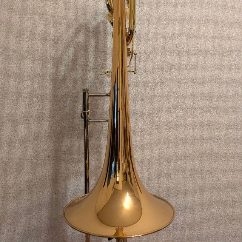 【一週間限定値下げ中】MichaelRath R9-R 【バストロンボーン】