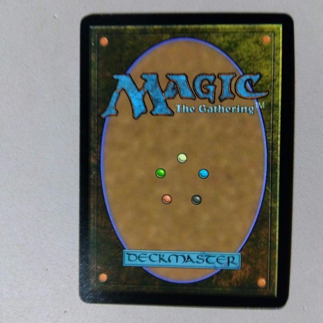 MTG 森の知恵 Foil DMR 旧枠仕様 非コレブ 英語