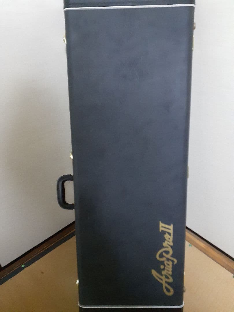 Aria Pro II / RS-CUSTOM III聖飢魔II