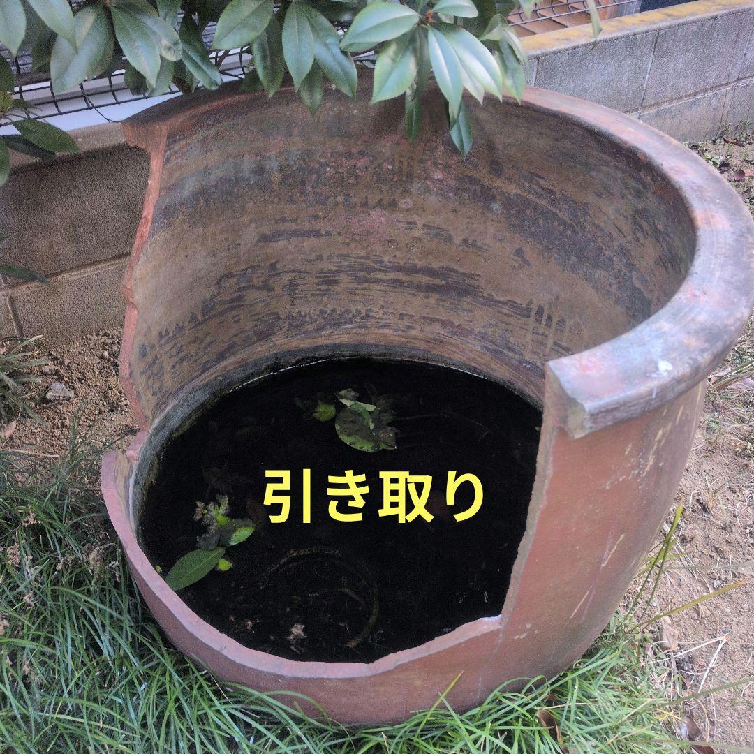 昭和レトロ 陶器製 金魚鉢　骨董品　アンティーク　メダカ　レトロ